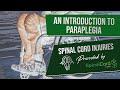 Paraplegic Definition, Explained, Causes, Recovery, Prognosis | Paraplegia | Spinal Cord Injury