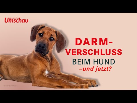 Video: Behandlung zu Hause bei partiellem Darmverschluss?