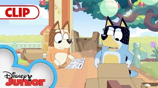 Flat Pack  | Bluey | @Disney Junior