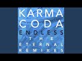Miniature de la vidéo de la chanson Into Each Life (Karmacoda Rainfall Remix)