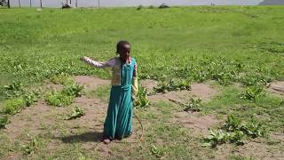 Shepherd's girl in Ethiopia 鞭を使う少女 エチオピア