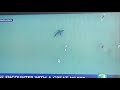 Encounter with a Great White Shark