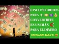 LOS SECRETOS para CONVERTIRTE en un IMÁN 🧲 para el DINERO 💵  Revelados para Ti ☑️