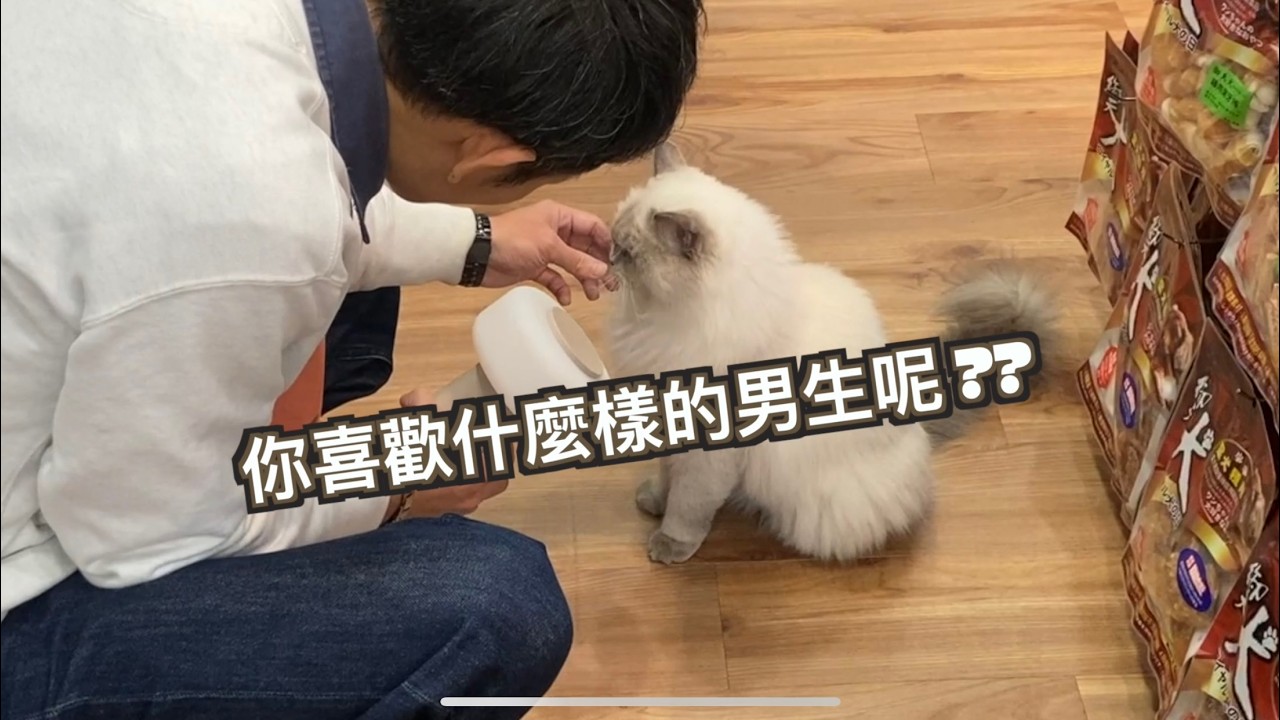 寵物配對系列-球掌世界寵物超市