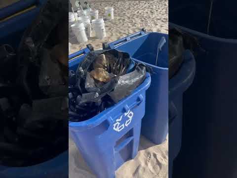 MARINE | SUZUKI CLEAN OCEAN PROJECT, FL, USA | SUZUKI