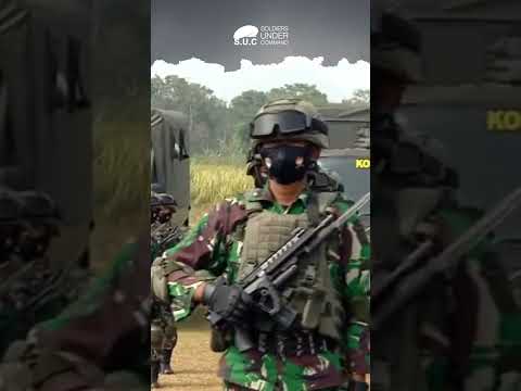 Senapan Serbu SS2 V5 Pindad Laris Manis