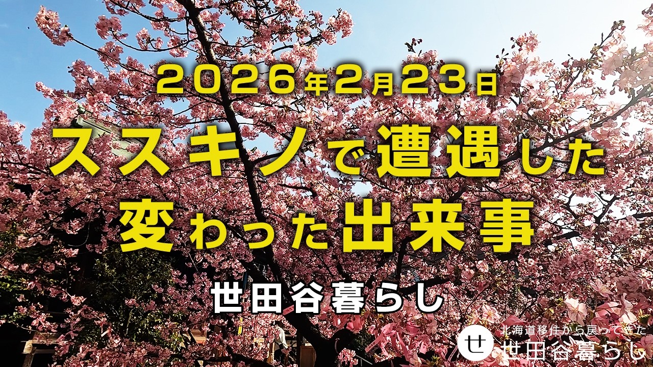 世田谷散歩｜札幌ススキノで遭遇した変わった出来事の話をしています。