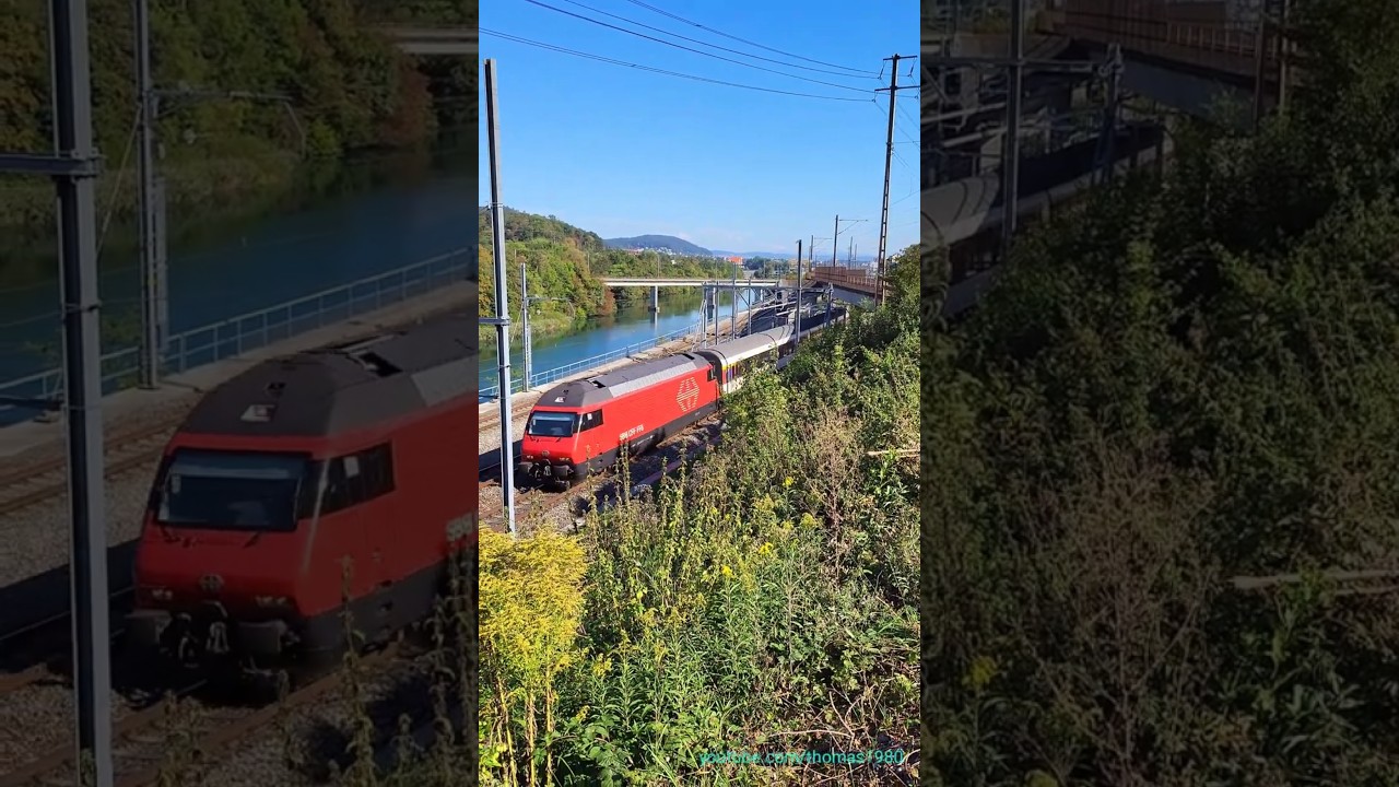 Zugsichtung bei Neuenhof im Kanton Aargau | Schweiz 2023 | #shorts