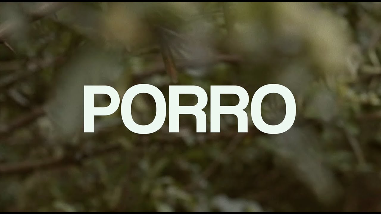 Watch Por ejemplo ahora - Porro (Video oficial) on YouTube Watch Por ejemplo ahora - Porro (Video oficial) on YouTube