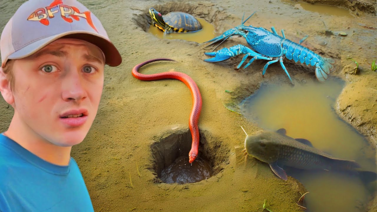 I Found a Mud Hole FILLED with RARE AQUARIUM FISH! YouTube