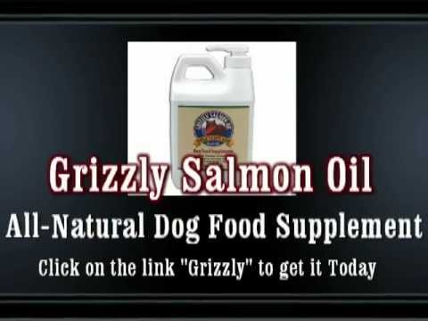 grizzly salmon oil for dogs