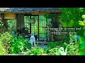 april brings life in every leaf - /a relaxing music playlist/