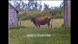 SAM SALMON - WASTE YOUR TIME (MUSIC VIDEO)