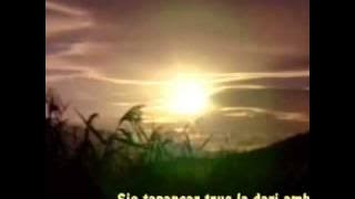 APA INJIL - HARPA & artists