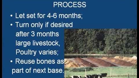 Mortality Composting - Jean Bonhotal