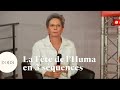 Fte de lhuma  de rousseau  philippe les 3 squences qui ont marqu la 88e dition