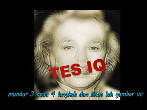 Gambar Tes Iq Beserta Jawabannya