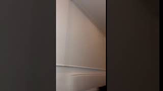 Charli Damelio I Am Not Ugly