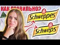 Эффект Манделы #4: Новые Примеры, Личный Опыт, Алиса В Стране Чудес, Чеширский Кот, Тутанхамон