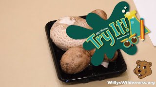 Try It: Mushroom Spores