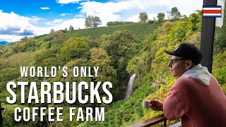 World's Only Starbucks Coffee Farm ☕️ | Hacienda Alsacia Costa Rica