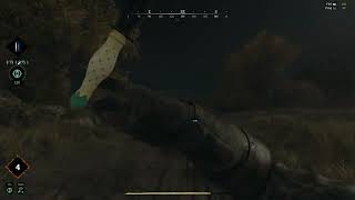 Hunt Showdown : Visual bug