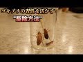 【実験】ゴキブリの習性を利用すれば簡単に駆除できることがわかる動画