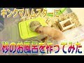 ハムスターに砂のお風呂を作ってみた