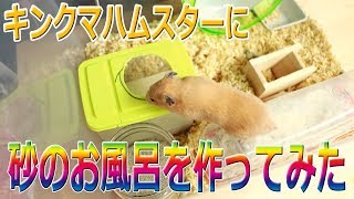 ハムスターに砂のお風呂を作ってみた