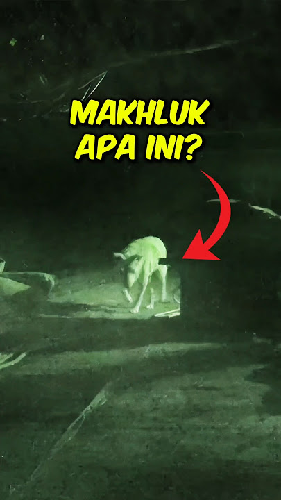 Makhluk Ini Mencuri Lobak Setiap Malam #kisahmenarik