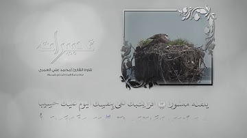 #تحبيرات | ماتيسر من سورة الإسراء | للقارئ : محمد بن علي العمري