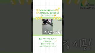 마루 선택에 고민중인 사람 주목! SPC 마루에 대해 들어보셨나요?