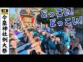 【今泉神社例大祭】受け継がれる魂、今泉に響く『どっこい』の鼓動　～2026年～