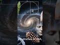 interesting!!#GoldenRatio #MindBlowingMath #MathFacts #UniverseSecrets #AmazingFacts #Shorts #facts