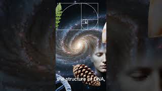 interesting!!#GoldenRatio #MindBlowingMath #MathFacts #UniverseSecrets #AmazingFacts #Shorts #facts