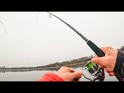 ЗРЯ Я РАНЬШЕ НЕ ИСПОЛЬЗОВАЛ ЭТУ ПРОВОДКУ на щуку. Рыбалка на спиннинг в 2025