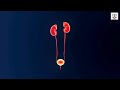 د محمود فاروق 1 د محمود فاروق 1
