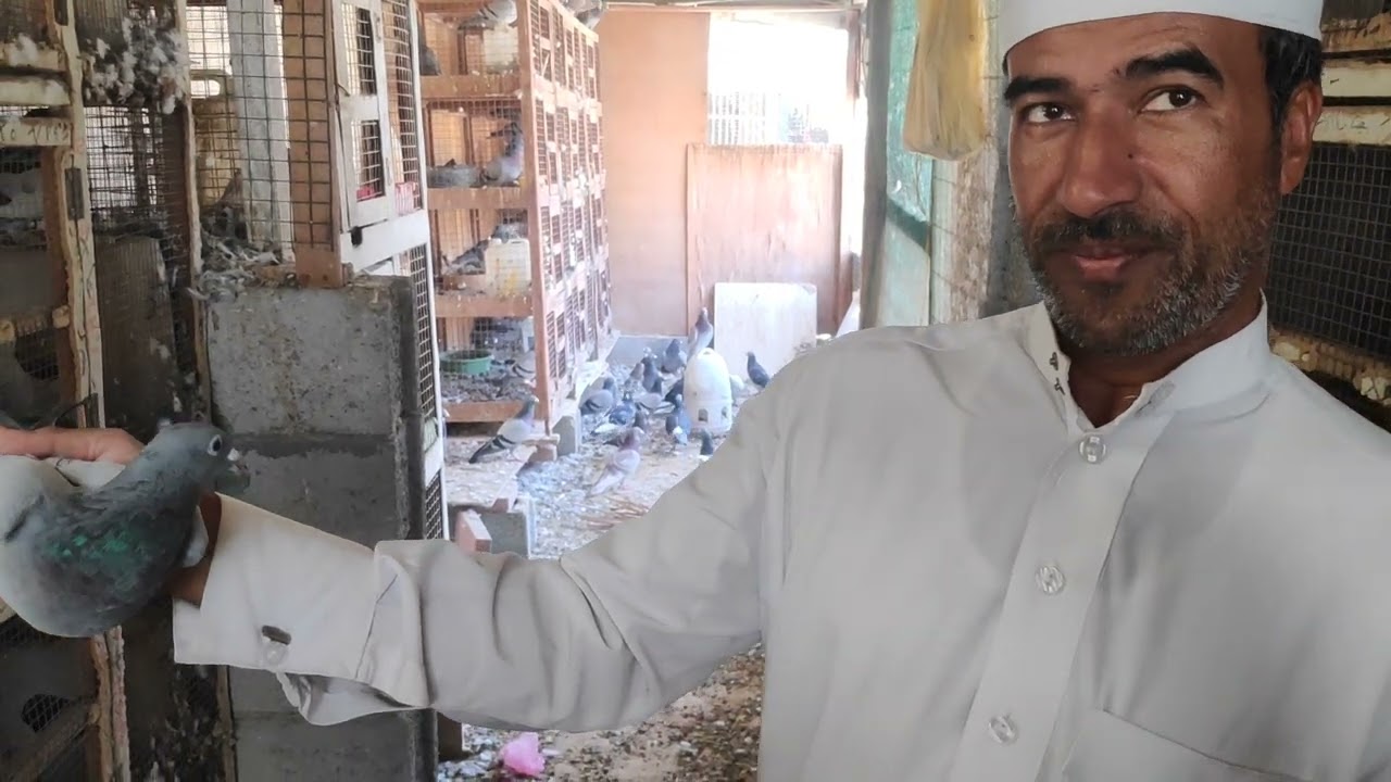 لقاء مع الصديق ناجي الموسى ابوشهاب احد ابطال ومؤسسي هواية سباقات الحمام الزاجل في الأحساء