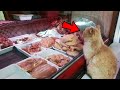 Кот заходил в мясной магазин, садился на прилавок и просил угощения
