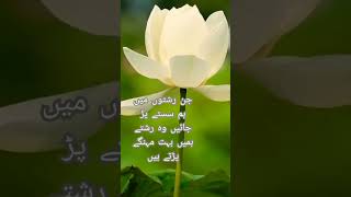 Urdu quotes about life #inspirationalquotes #poetry #quoteslover