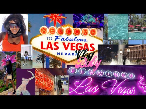 Video: Flamingo Las Vegase hotell ja kasiino otse Stripi ääres