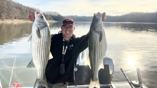 Striper Fishing Lake Cumberland  An early spring limit  March 2023