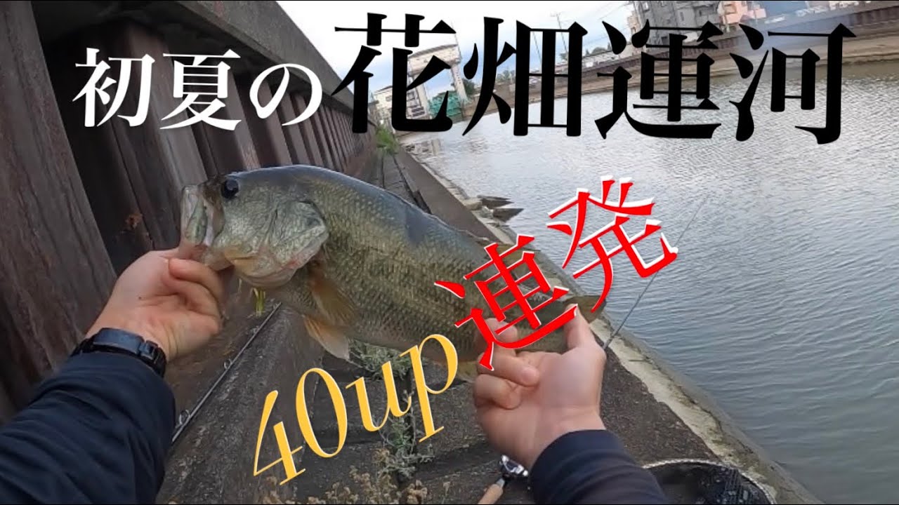 東京バス釣り 運河で40up連発 チャター Youtube