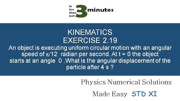 STANDARD XI – KINEMATICS – EXERCISE 2.19