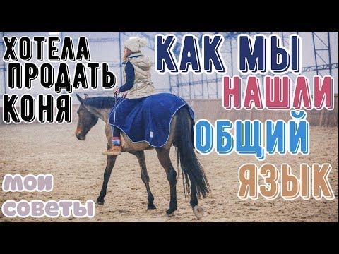 доверие между всадником и лошадью/как добиться?❤️🐴