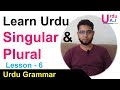 Urdu Singulars and Plurals | How to make Singular to Plural in Urdu