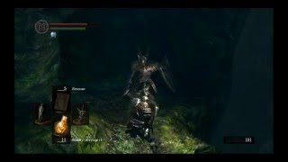 DARK SOULS - Черный Рыцарь (Озеро Тёмных Корней) - Black Knight - Darkroot Basin