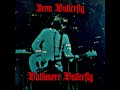 Capture de la vidéo Iron Butterfly  -  Baltimore Butterfly, Live Bootleg 1968 🇺🇸 Heavy Psychedelic Rock/Acid/Symphonic