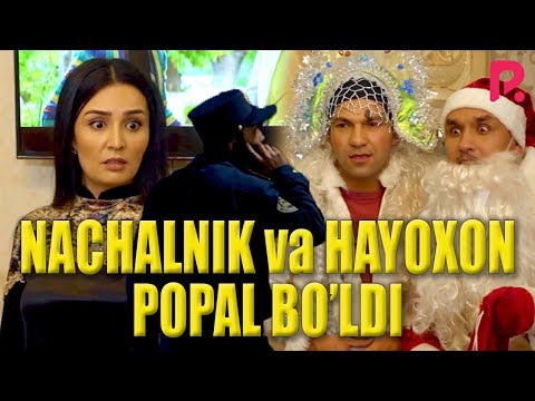 Akula — Nachalnik va Hayoxon popal bo'ldi (hajviy ko'rsatuv)