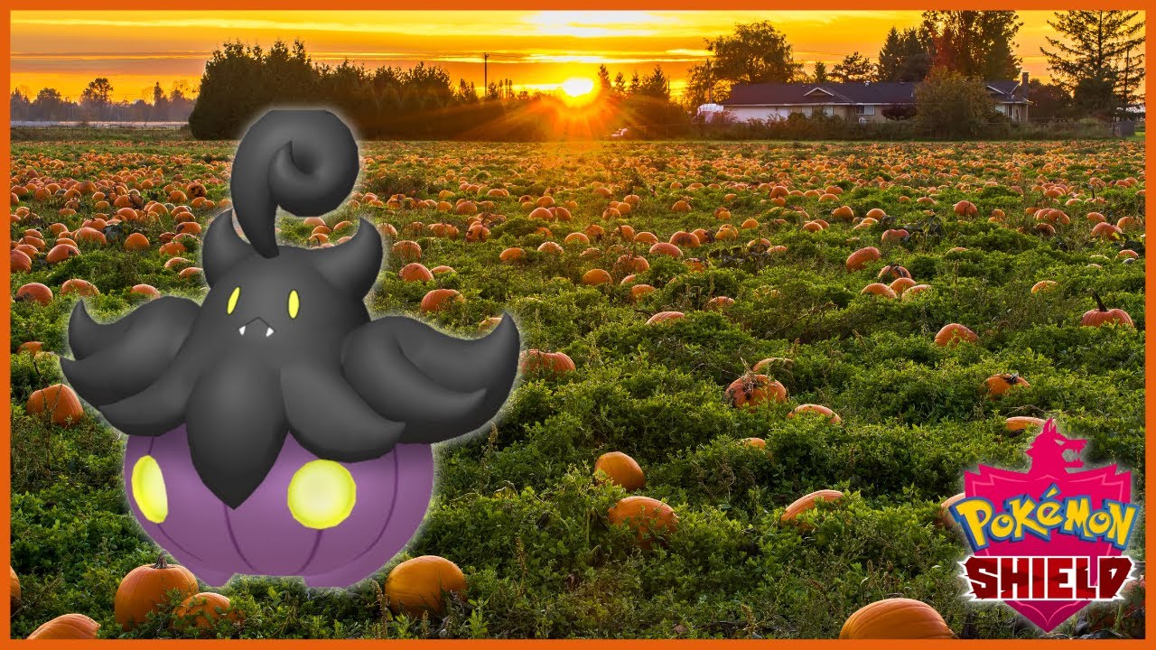 Pokemon Shiny Pumpkaboo Costume Spooky Festival GO – SCAMBIO (Leggi Descrizione)